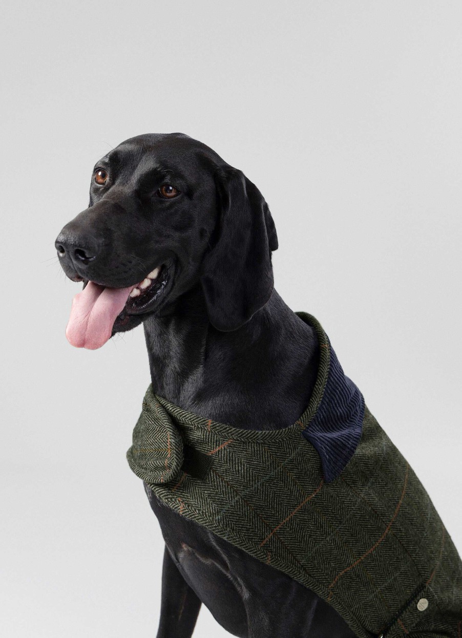 Tillbehor Hackett London | Rutad Jacka For Hund - Stor