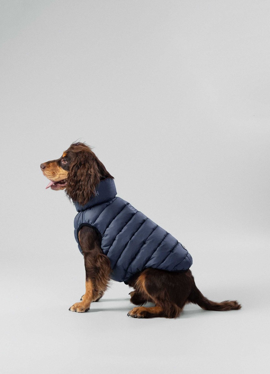 Tillbehor Hackett London | Vandbar Pufferjacka For Hund - Medium