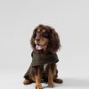 Pojkar Hackett London | Rutad Jacka For Hund - Medium