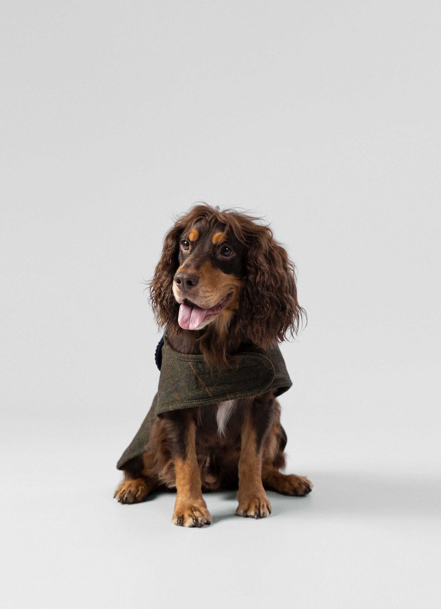 Pojkar Hackett London | Rutad Jacka For Hund - Medium