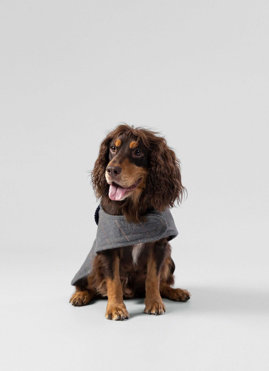 Tillbehor Hackett London | Rutad Jacka For Hund - Medium