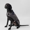 Pojkar Hackett London | Rutad Jacka For Hund - Stor