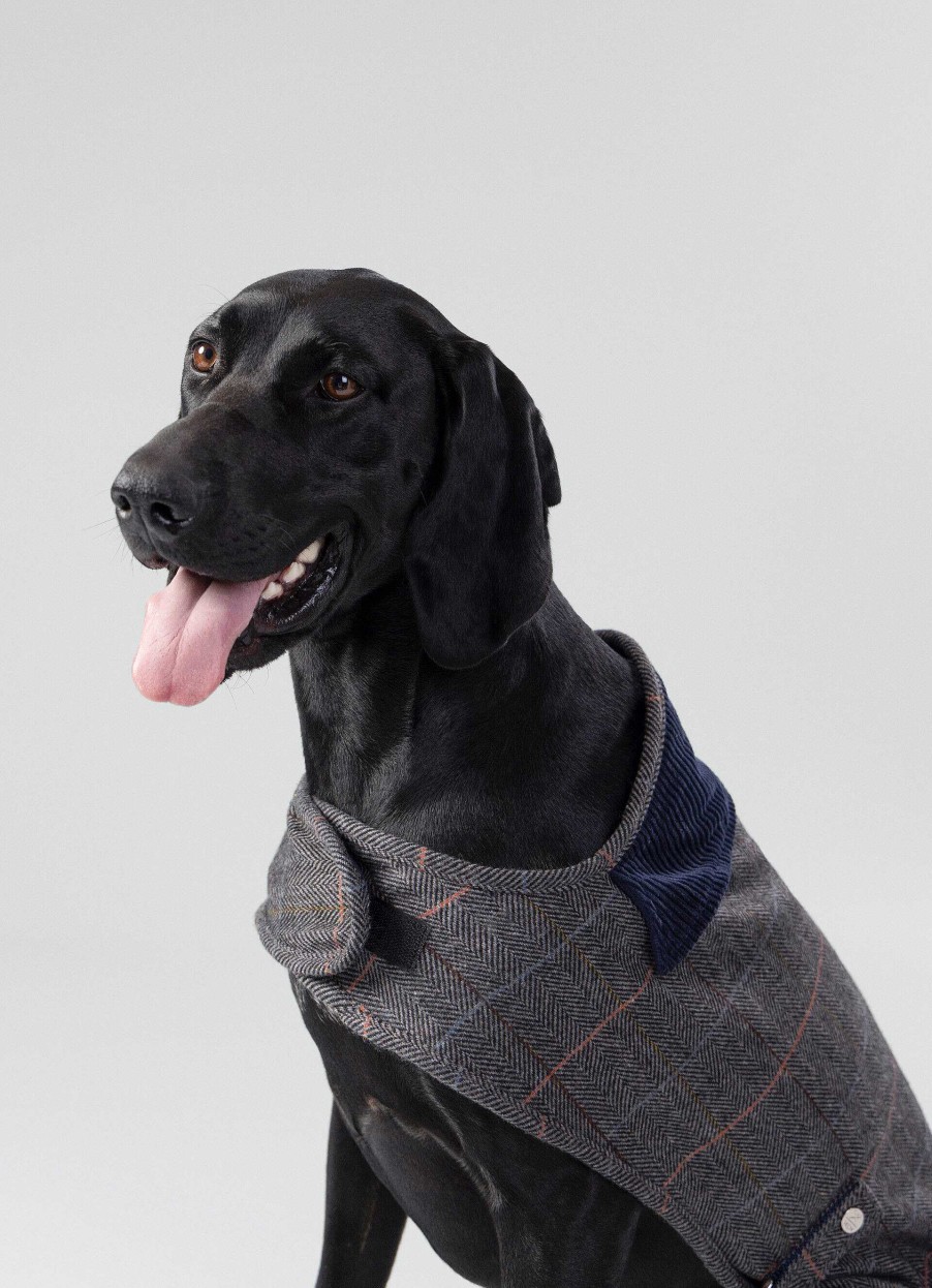 Tillbehor Hackett London | Rutad Jacka For Hund - Liten