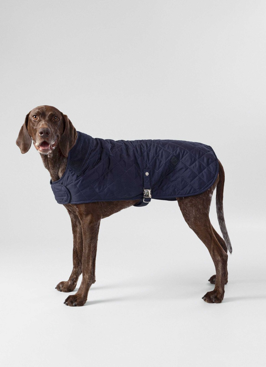 Tillbehor Hackett London | Qyltad Jacka For Hund - Stor