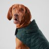 Tillbehor Hackett London | Qyltad Jacka For Hund - Medium