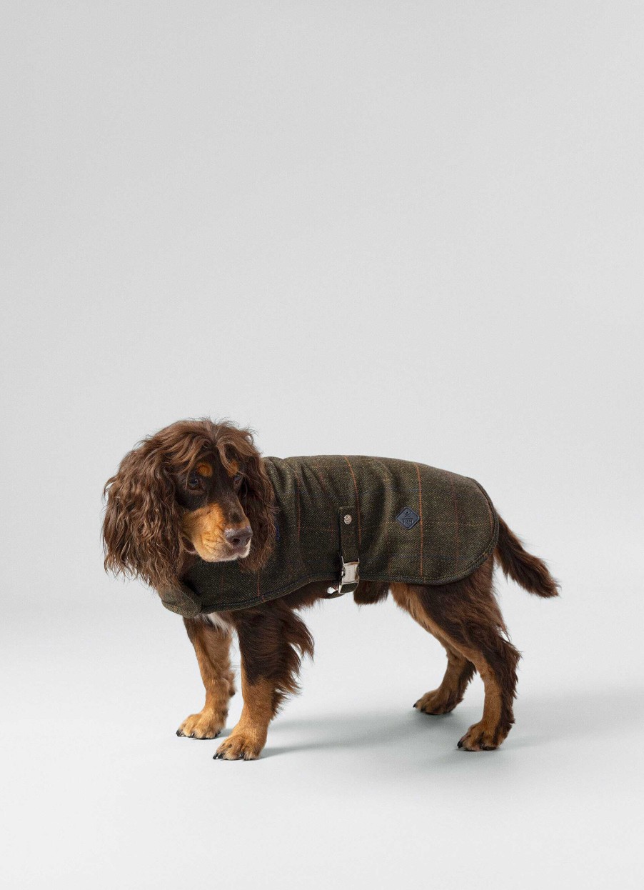 Pojkar Hackett London | Rutad Jacka For Hund - Liten