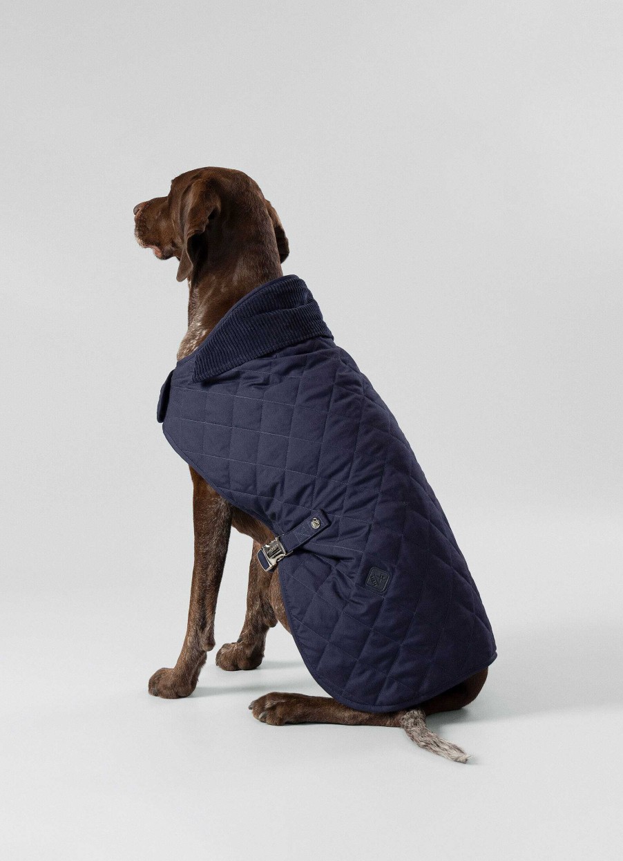 Tillbehor Hackett London | Qyltad Jacka For Hund - Stor