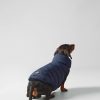 Tillbehor Hackett London | Vandbar Pufferjacka For Hund - Liten