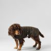 Tillbehor Hackett London | Rutad Jacka For Hund - Medium