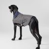 Pojkar Hackett London | Rutad Jacka For Hund - Liten